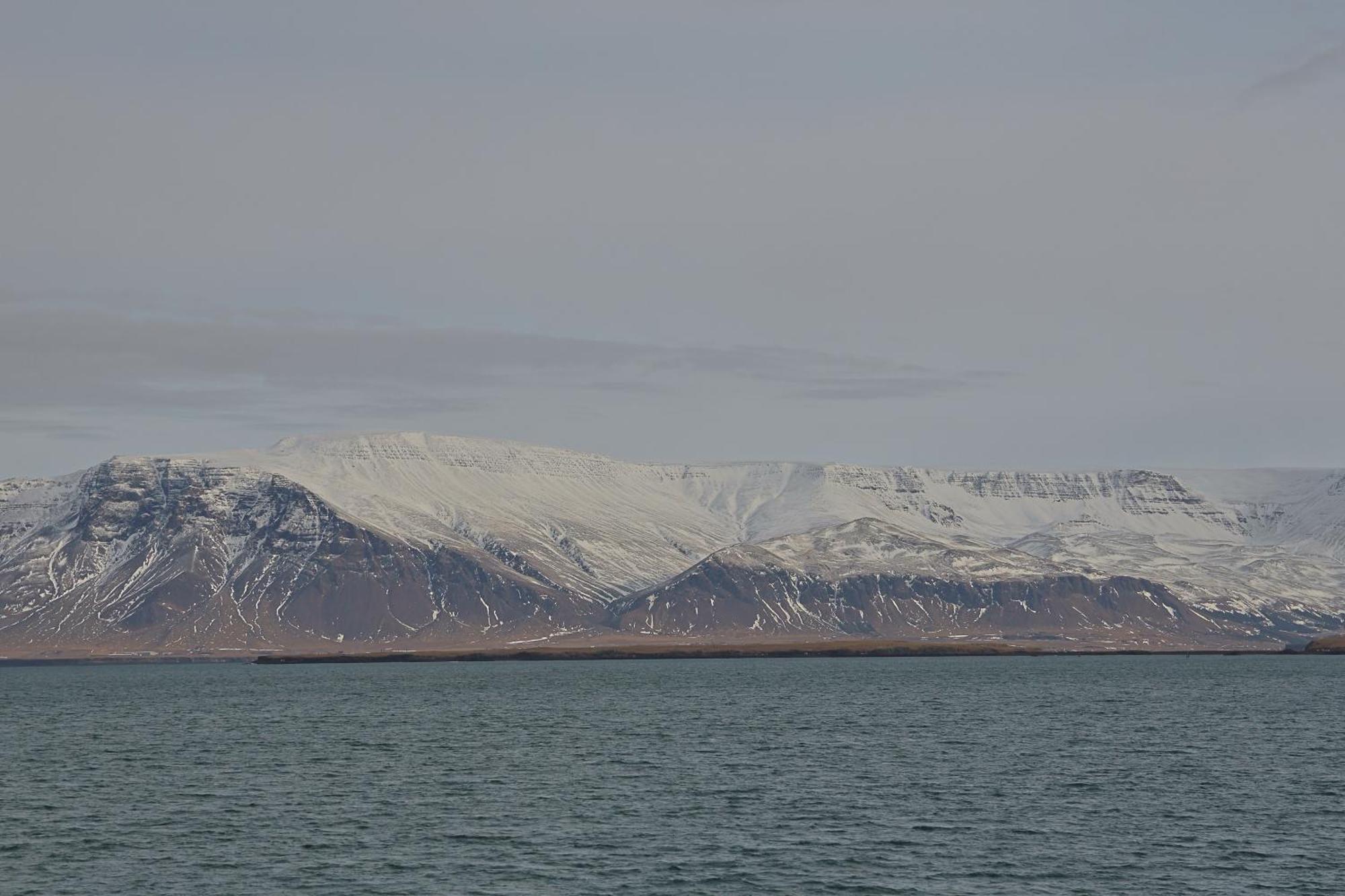 Lagertha'S Apartment,Downtown Reikiavik Exterior foto